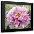 thumbnail image 1 of Sullivan, Shawna 15x15 Black Modern Framed Museum Art Print Titled - Solo Pink II, 1 of 5
