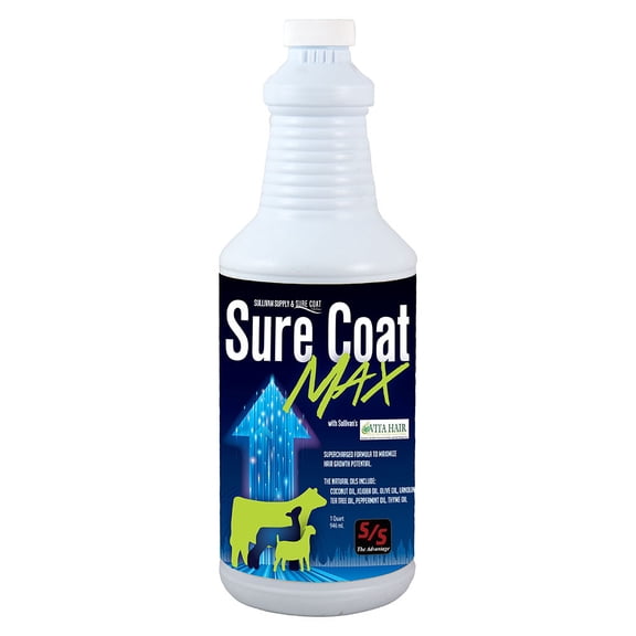 Sullivan Supply (C)Sure Coat Max 32oz(12)  QUART