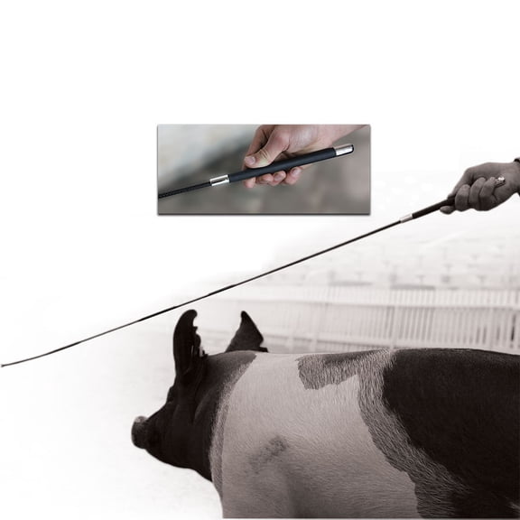 Sullivan Supply Sullivan`s Carbon Fiber Whip 39IN