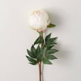 thumbnail image 1 of Sullivans 28" Artificial White Peony Spray, 1 of 3