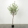 thumbnail image 1 of Sullivans 6'H Mountain Leaf Tree, Green, 1 of 3
