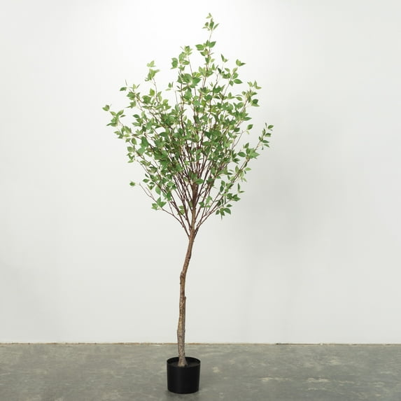 Sullivans 6'H Mountain Leaf Tree, Green