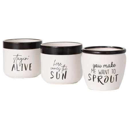 Sullivans Black/White Ceramic 4.5 in. H Fun Text Planter Set