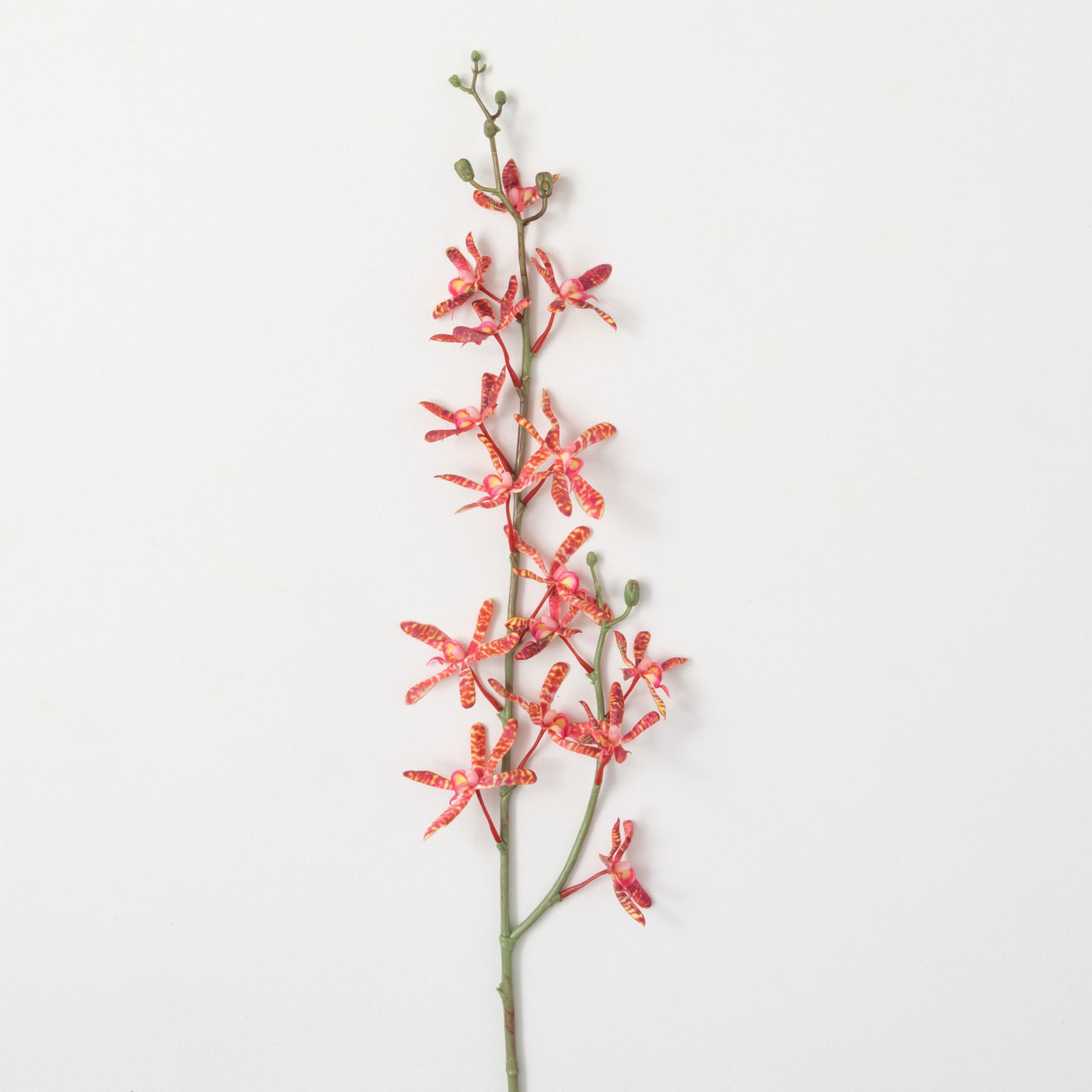 Sullivans Artificial Coral Spider Orchid Stem 32"H Orange