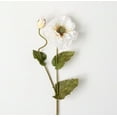 thumbnail image 1 of Sullivans Artificial Crisp White Double Poppy Stem 28"H White, 1 of 3