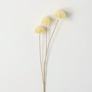 Sullivans Artificial Dried Allium Bud Stem 24.5"H Off-White