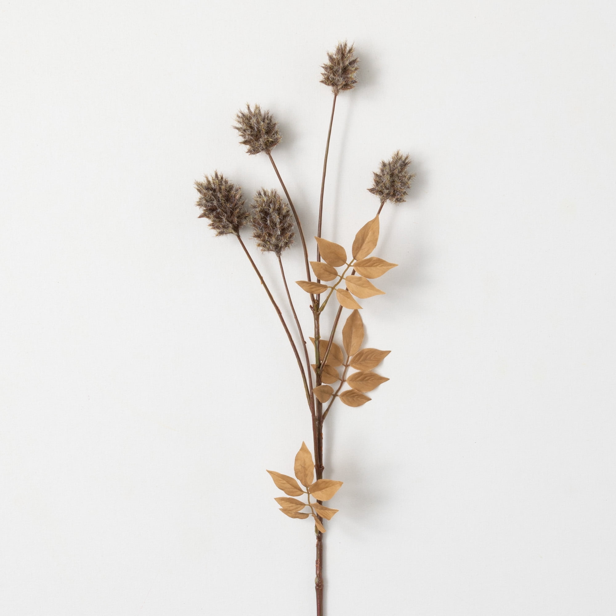Sullivans Artificial Dried Brown Thistle Stem 27.5"H Brown