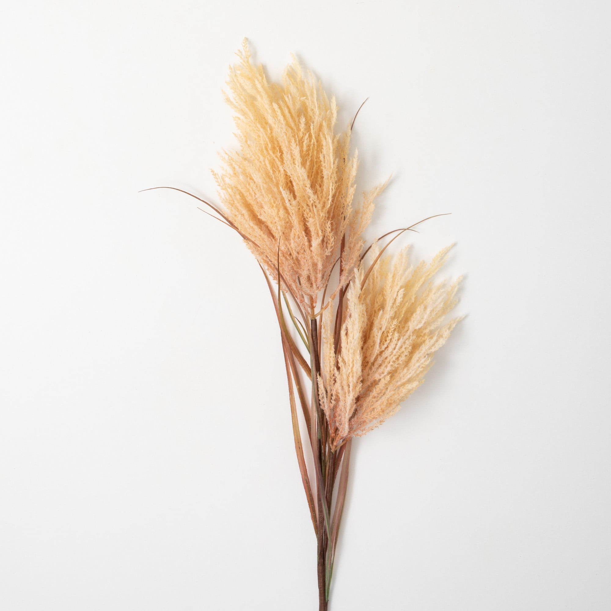 Sullivans Artificial Dried Wheat-Hue Reed Stem 48"H Gold