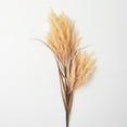thumbnail image 1 of Sullivans Artificial Dried Wheat-Hue Reed Stem 48"H Gold, 1 of 4