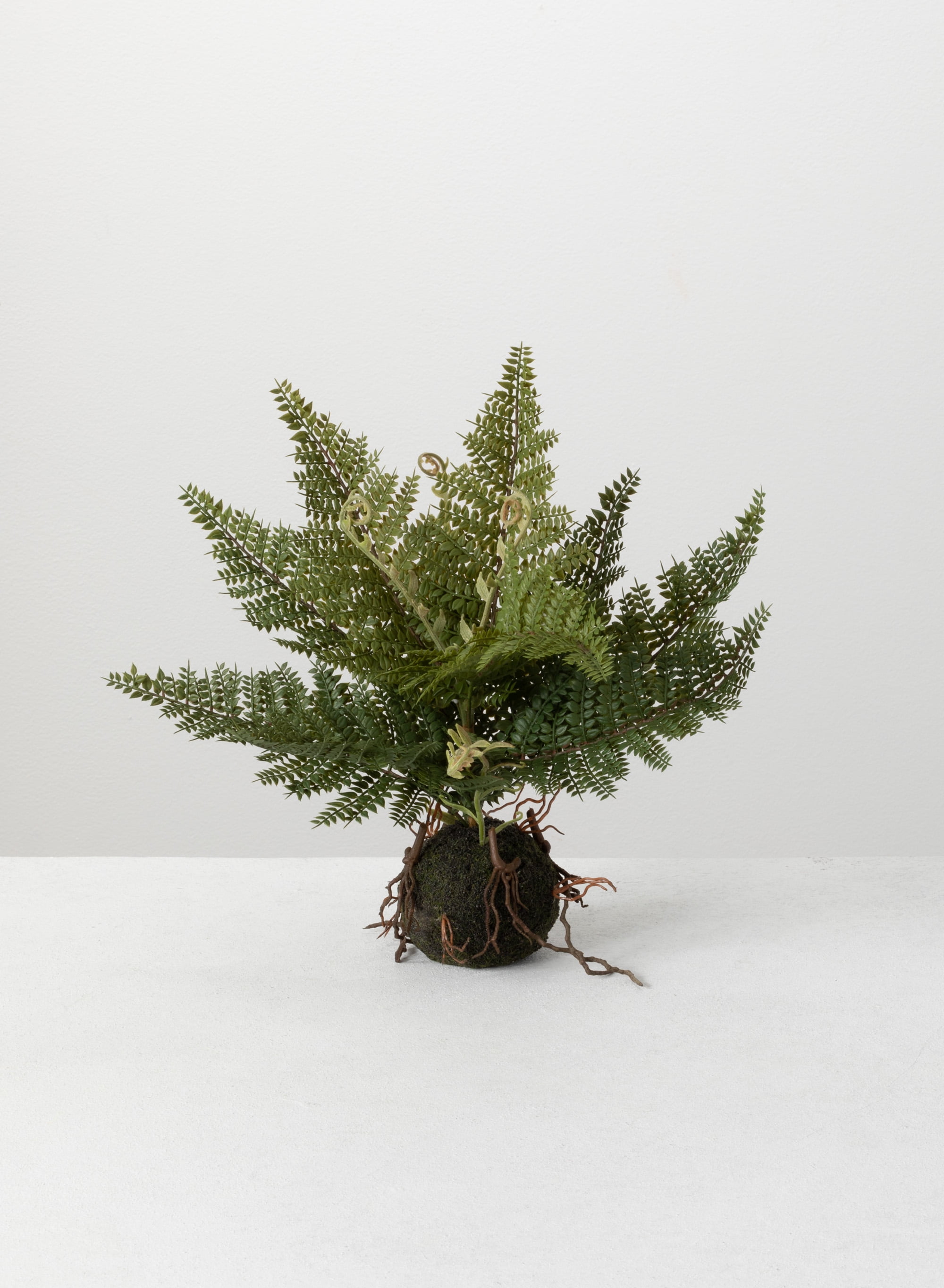 Green Plastic Artificial Fern in Moss Ball Tabletop Decor