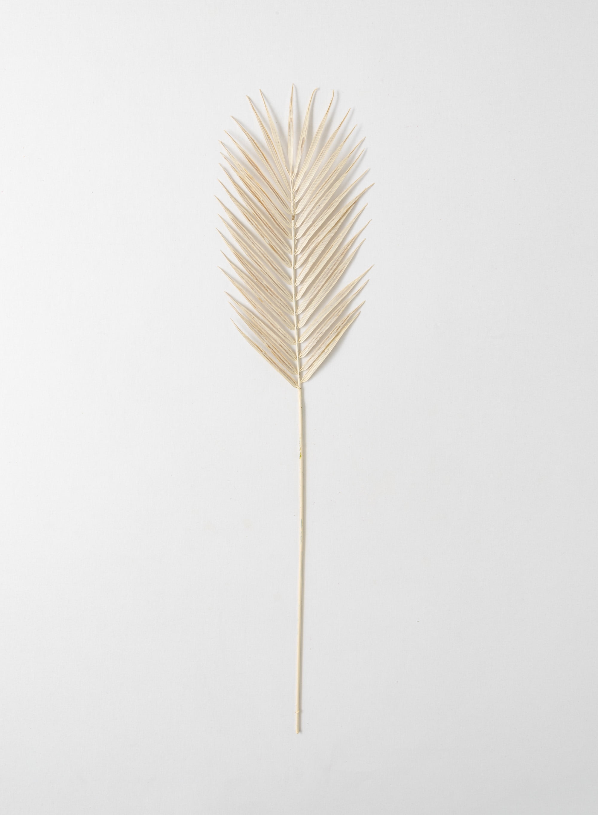Off-White Faux Dried Fern Stem 34"