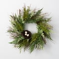 thumbnail image 1 of Sullivans Artificial Fern Twig Nest Wreath 21"H Green, 1 of 5