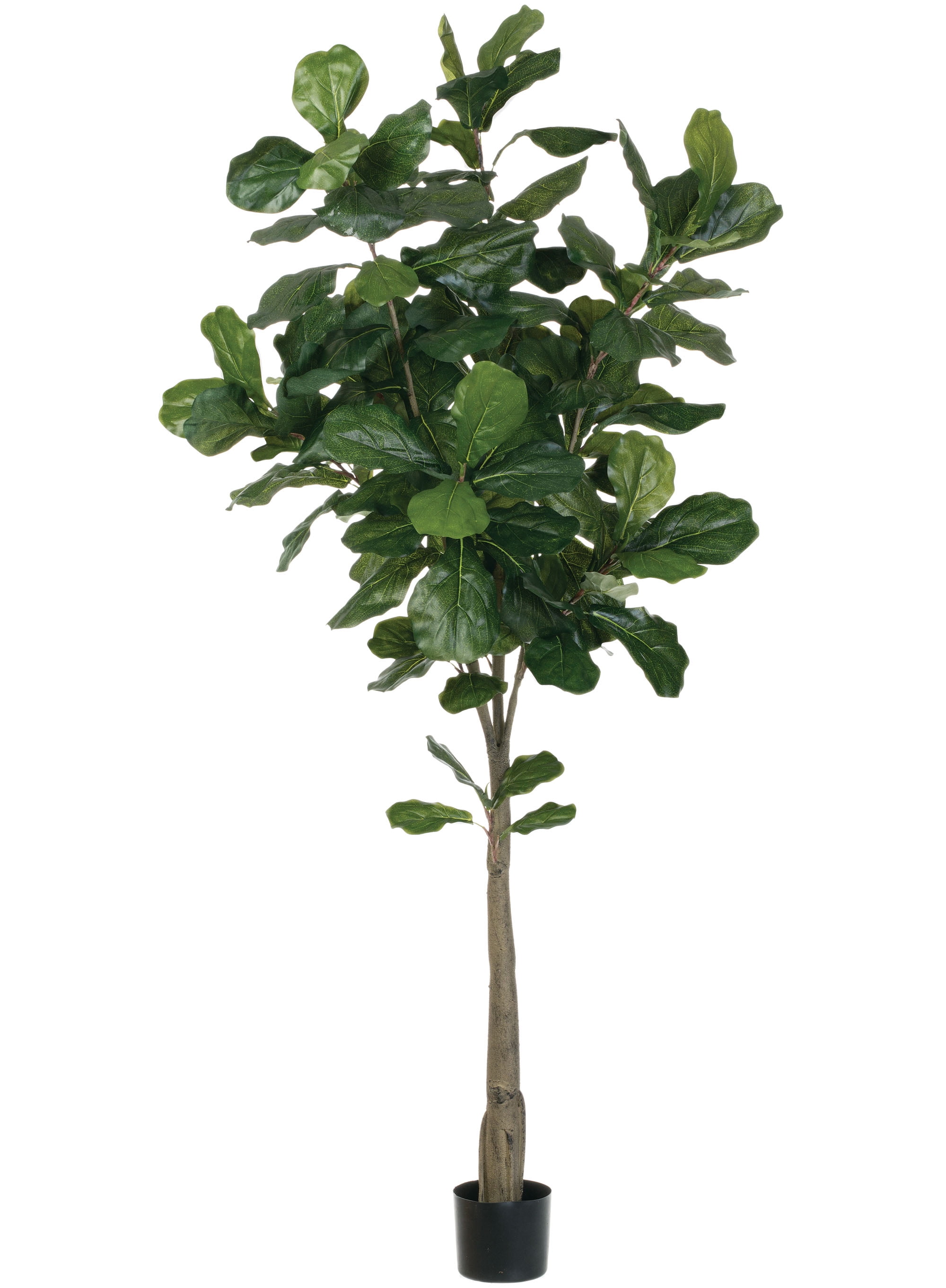 Tall Green Silk Fiddle Leaf Fig Tree in Black Pot