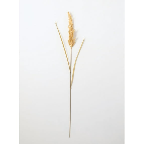 Sullivans Artificial Field Grass Stalk 35.5"H Brown