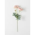 thumbnail image 1 of Sullivans Artificial Garden Ranunculus Stem 21.5"H Pink Flower, 1 of 2