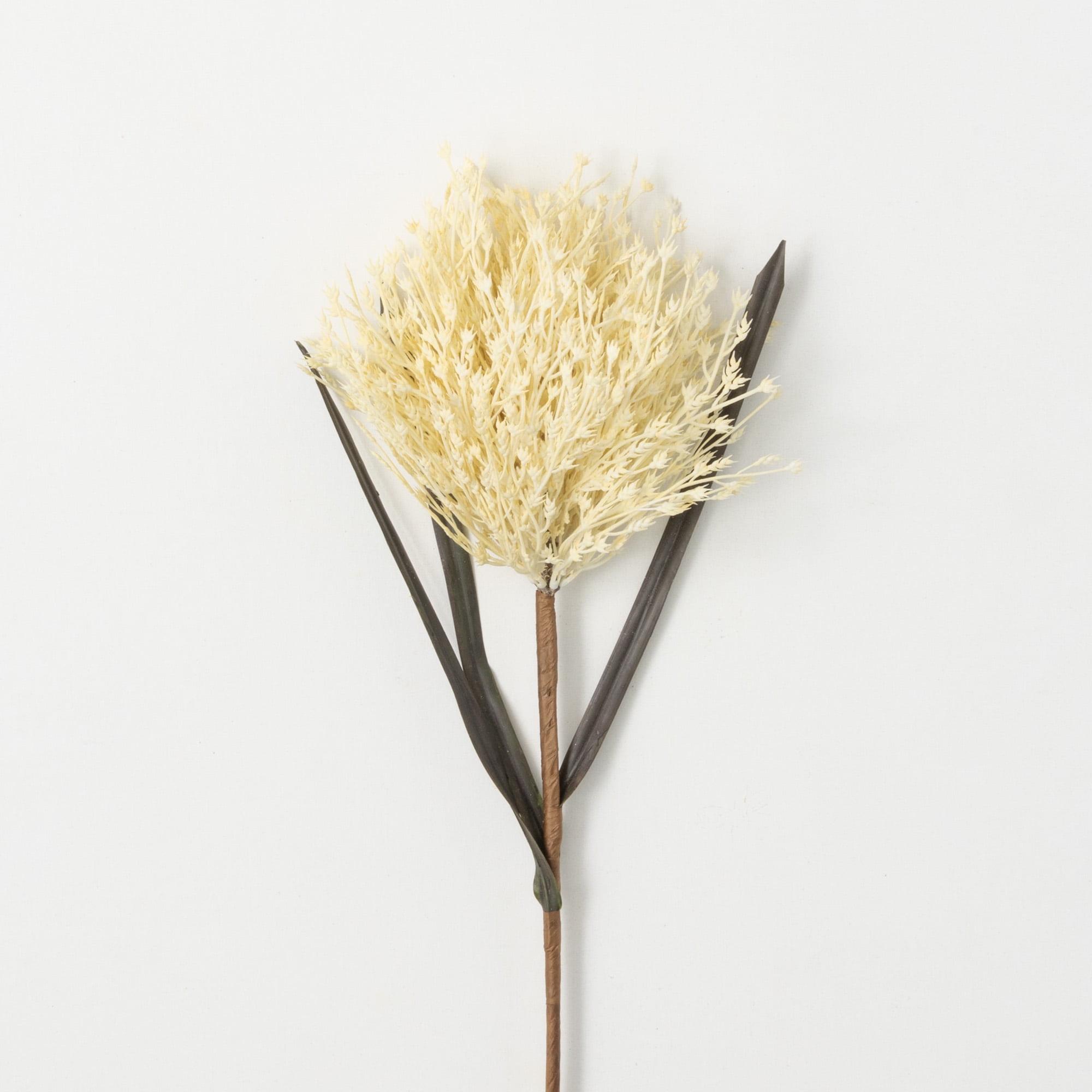 Sullivans Artificial Ivory-Colored Stout Reed Stem 32"H Off-White