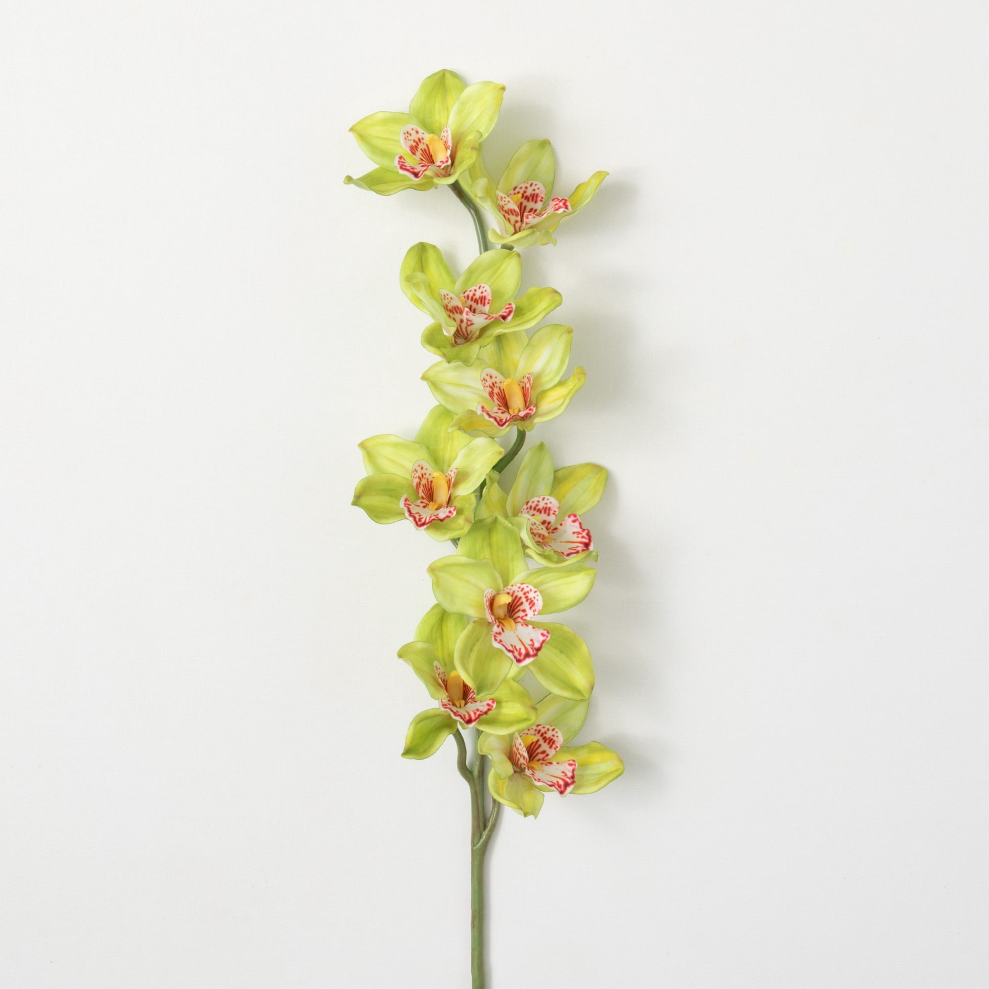 Sullivans Artificial Lime Green Orchid 36"H Green