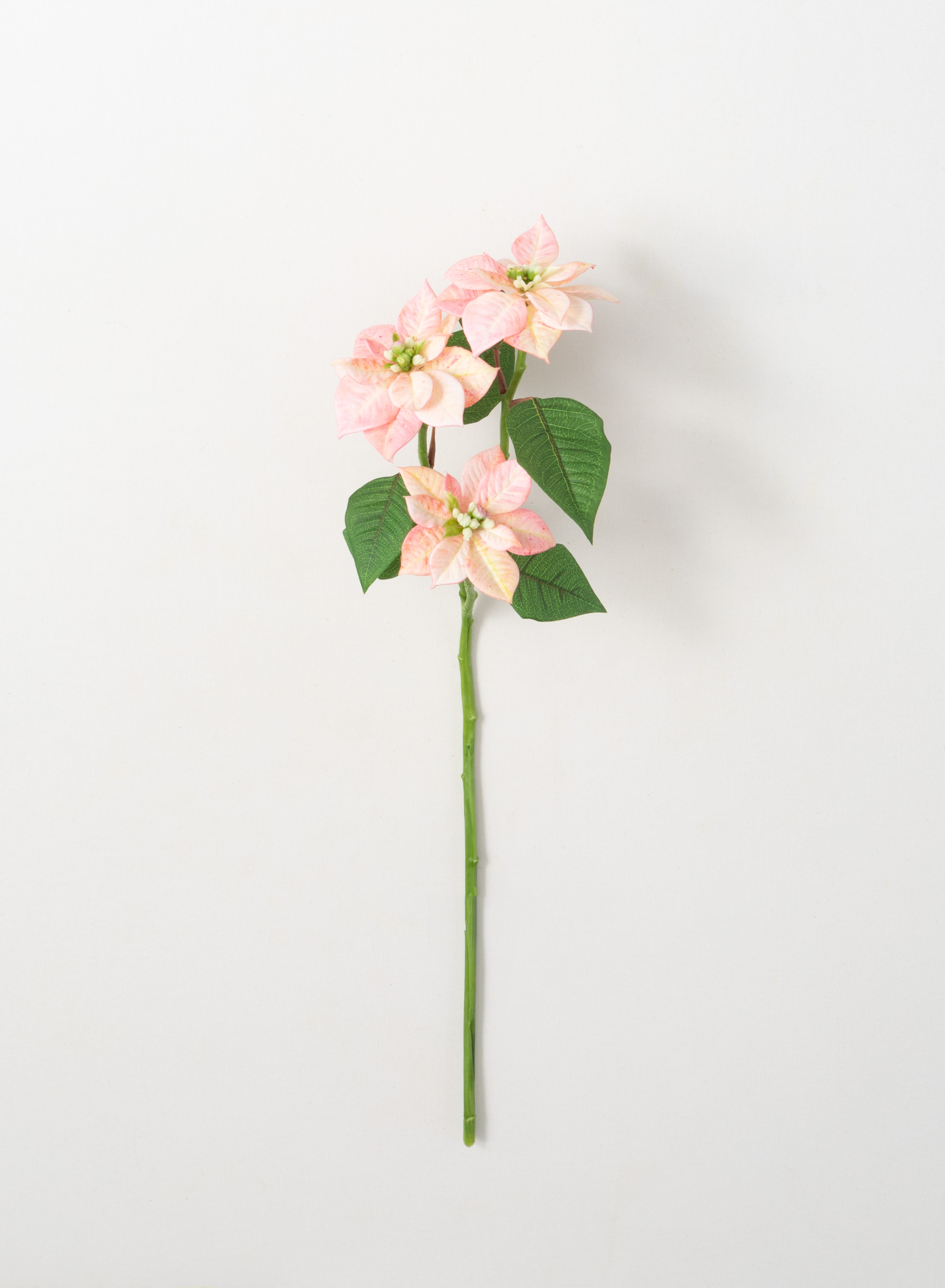 Sullivans Artificial Mini Pink Poinsettias Stem 25"H Pink Flowers