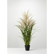 Sullivans Artificial Potted Agave Reed 42"H Green