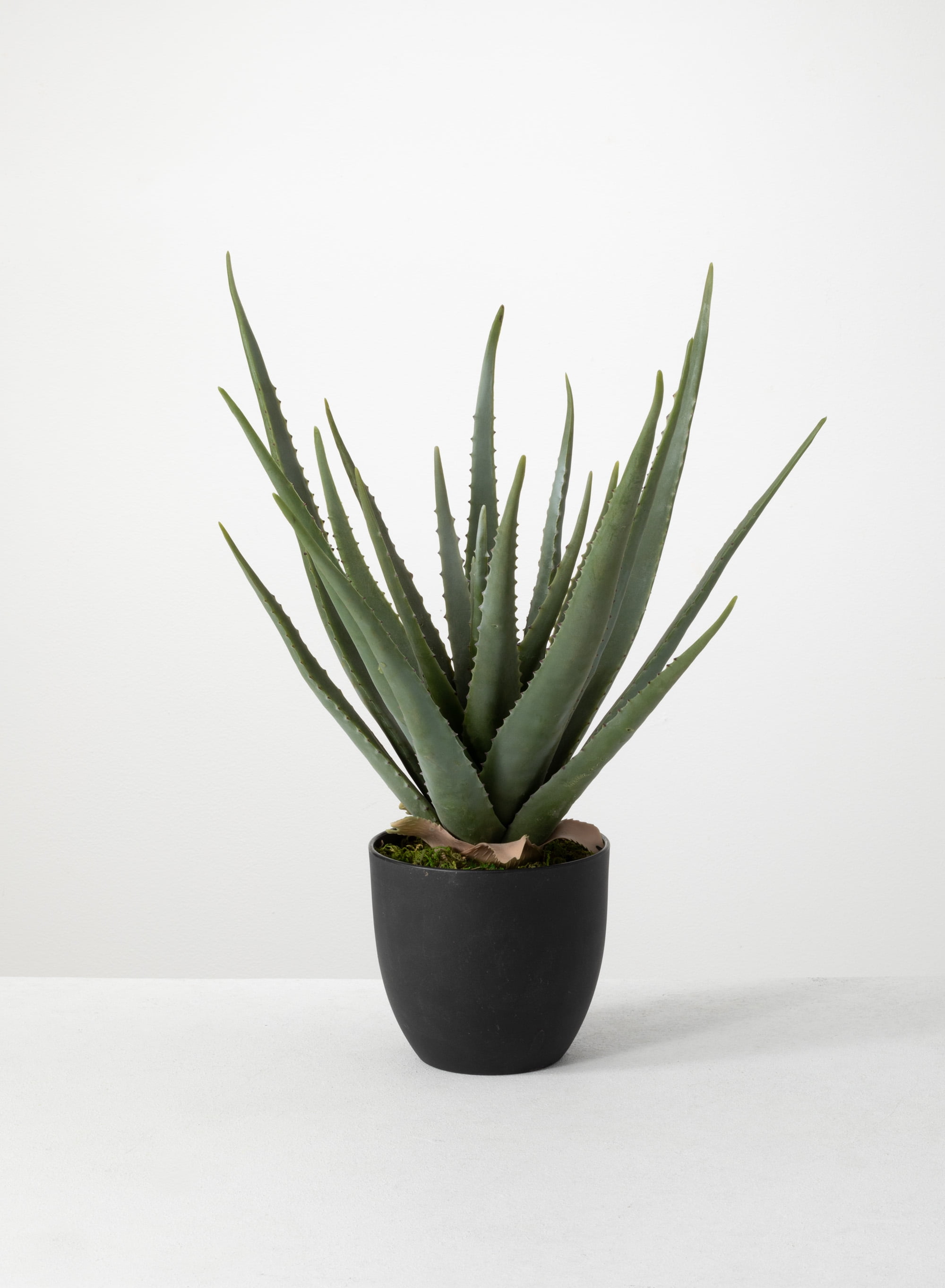 24" Green Plastic Aloe Succulent in Black Pot