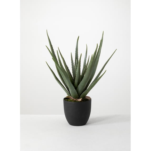 Sullivans Artificial Potted Aloe 24"H Green