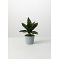 thumbnail image 1 of Sullivans Artificial Potted Sansevieria 10"H Green, 1 of 7