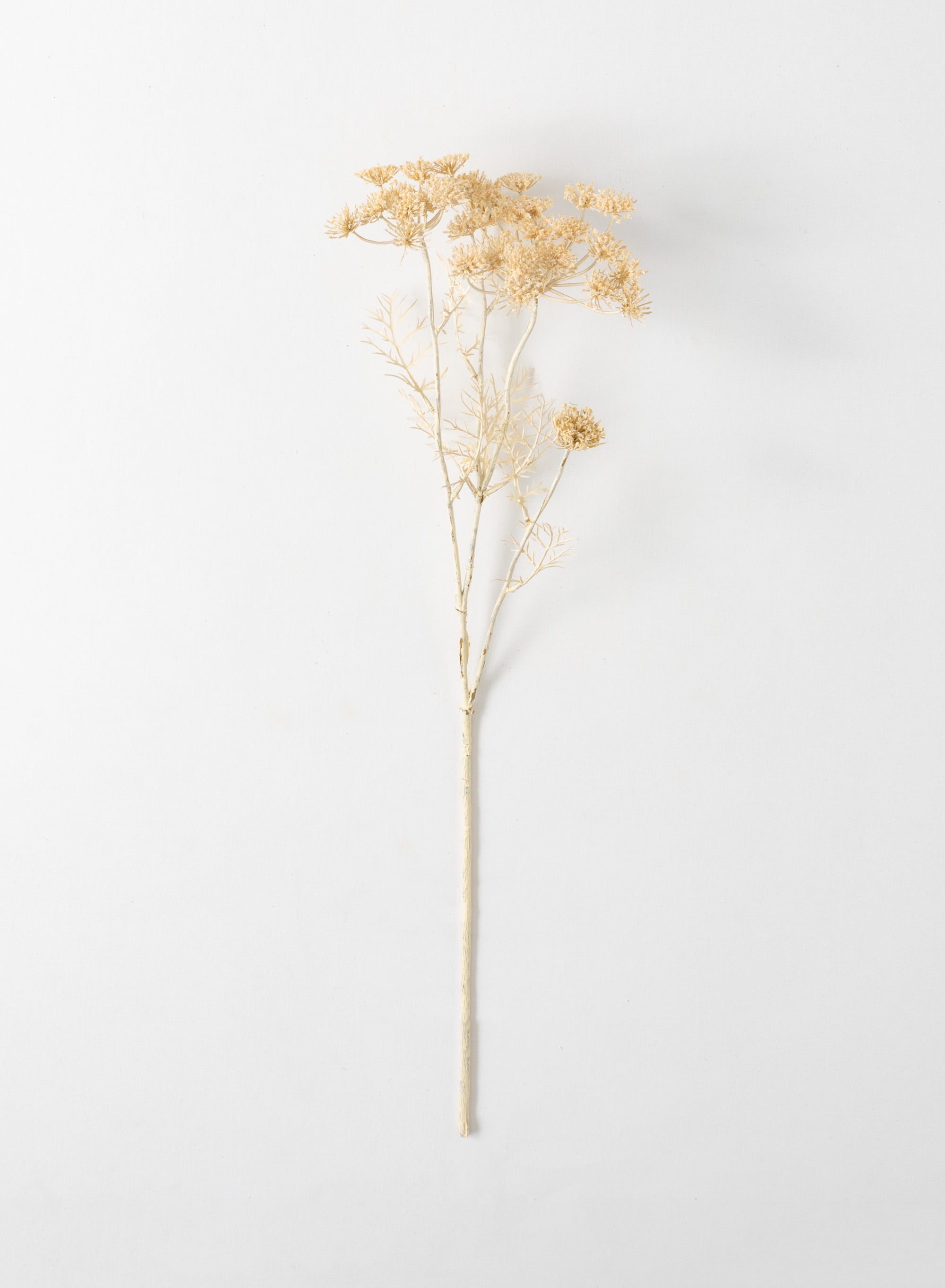 Sullivans Artificial Queen Anne'S Lace Stem 29"H OffWhite
