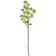 thumbnail image 1 of Sullivans Artificial Snowball Spray 28"H Green Flowers, 1 of 2