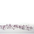 thumbnail image 1 of Sullivans Beaded Garland 60"L Purple, 1 of 1