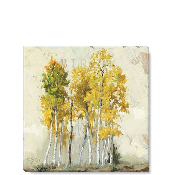 Sullivans Darren Gygi Birch Tree Canvas, Museum Quality Giclee Print, Gallery Wrapped, Handcrafted in USA 20"W Yellow
