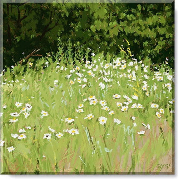 Sullivans Darren Gygi Daisy Field Canvas, Museum Quality Giclee Print, Gallery Wrapped, Handcrafted in USA 5"W x 5"L Multicolored