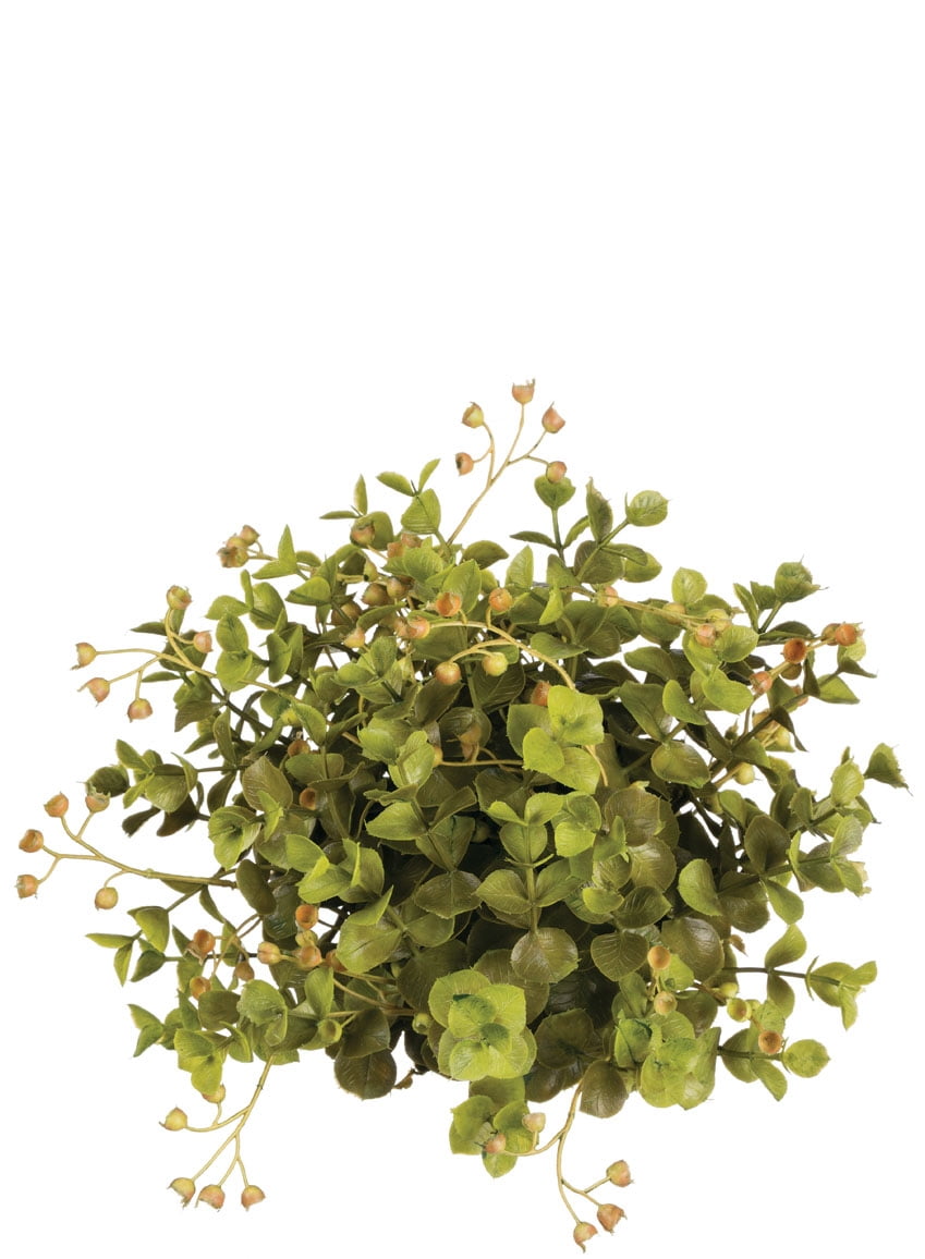 Sullivans Eucalyptus 1/2 Orb Decorative Filler 6"H Green