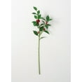 thumbnail image 1 of Sullivans Holly Artificial Stem 31"H Green, 1 of 2
