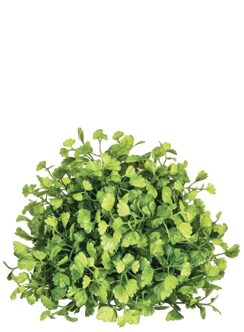 Green Artificial Maiden Hair Fern Orb Arrangement