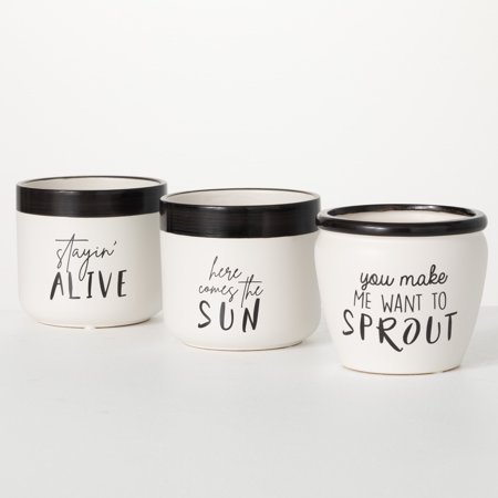 Sullivans Typography Planter Set of 3, 4.5"H White