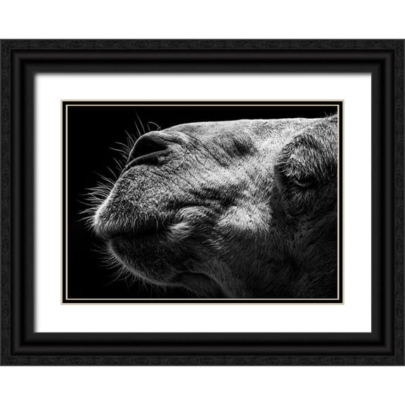 Sultan 24x18 Black Ornate Wood Framed with Double Matting Museum Art Print Titled - Camel