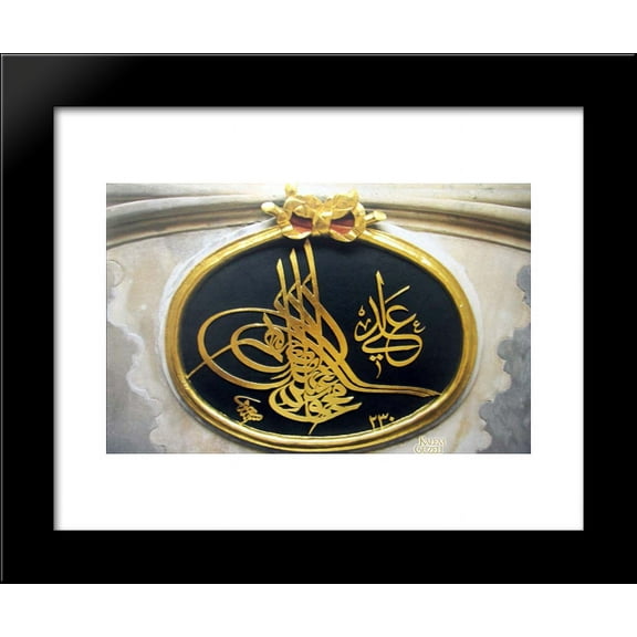Sultan II Mahmud 20x24 Framed Art Print by Rakim, Mustafa