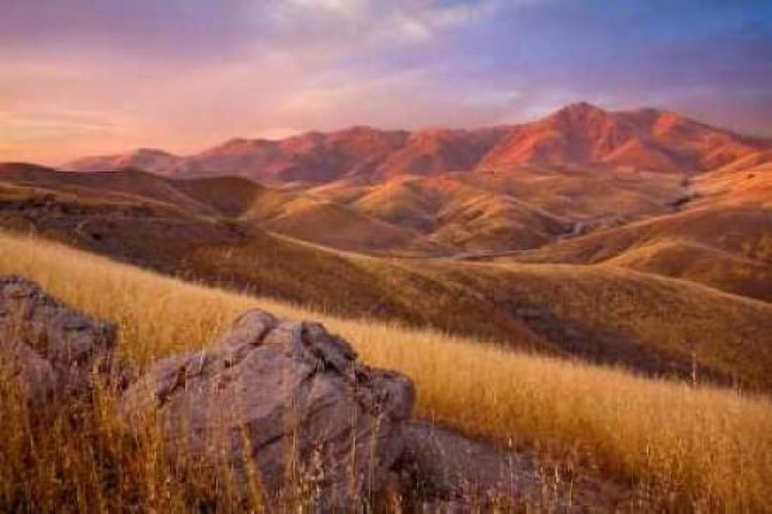 Summer Autumn Canvas Art - Mark Geistweite (20 x 28)