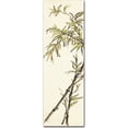 thumbnail image 1 of "Summer Bamboo I" Canvas Art by Chris Paschke, 1 of 3