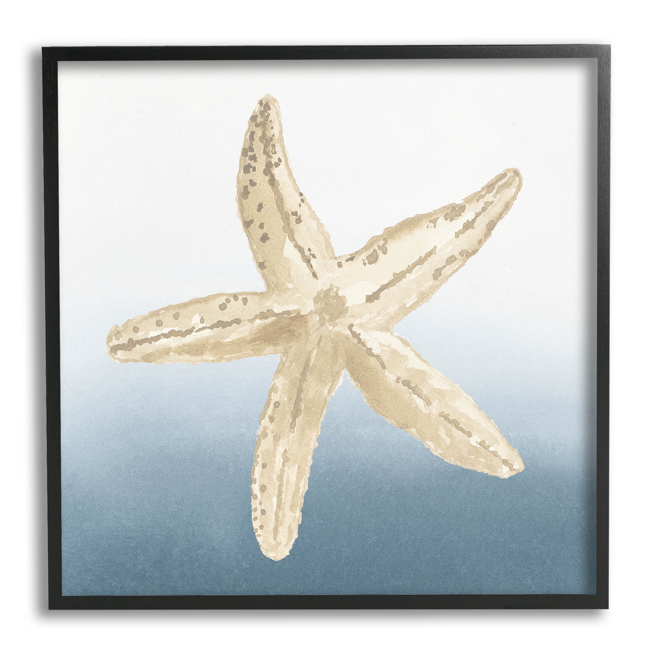 Summer Beach Life Starfish Animals & Insects Graphic Art Black Framed Art Print Wall Art