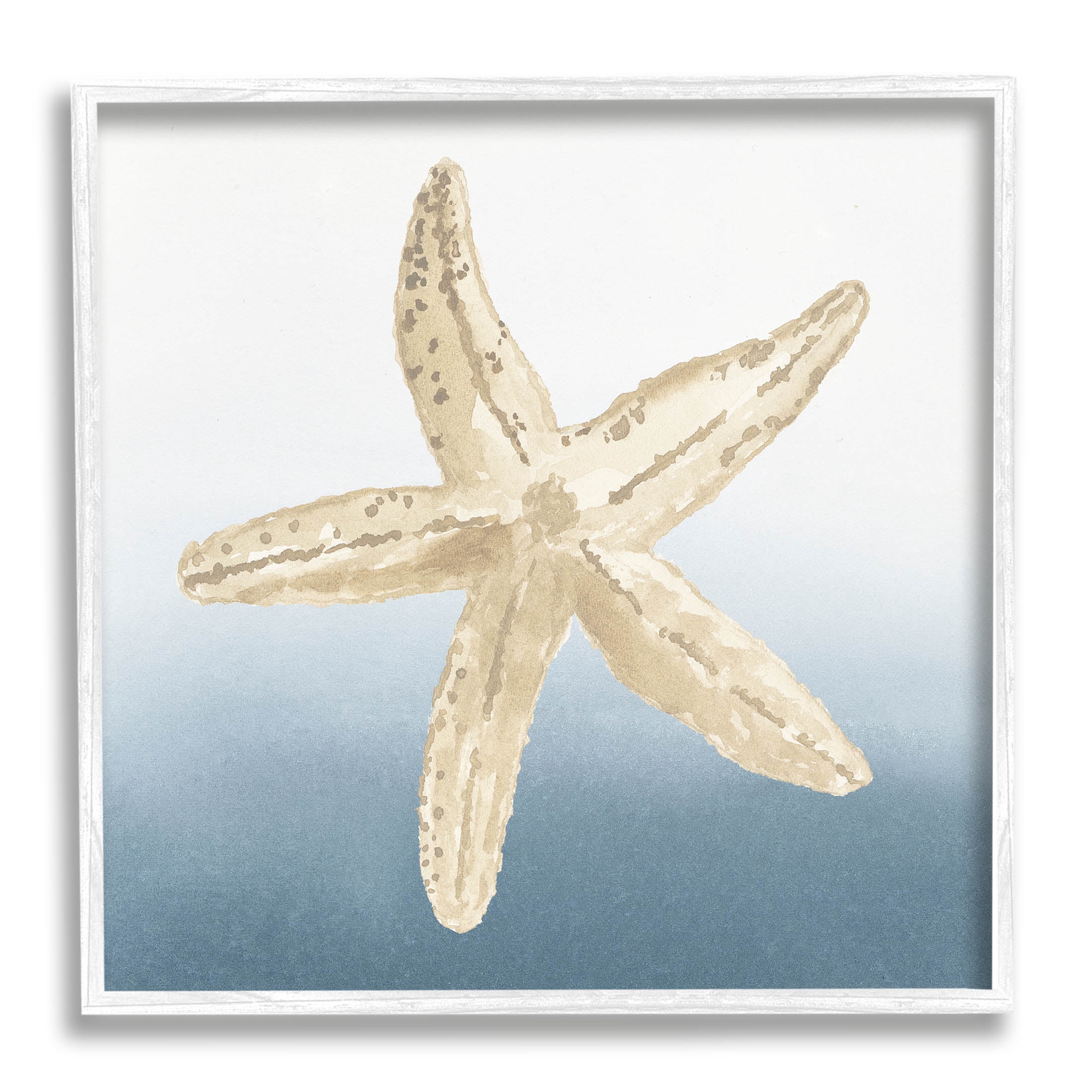 Summer Beach Life Starfish Animals & Insects Graphic Art White Framed Art Print Wall Art