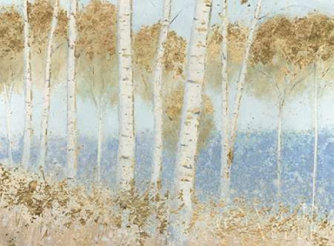 Summer Birches Canvas Art - James Wiens (18 x 24)