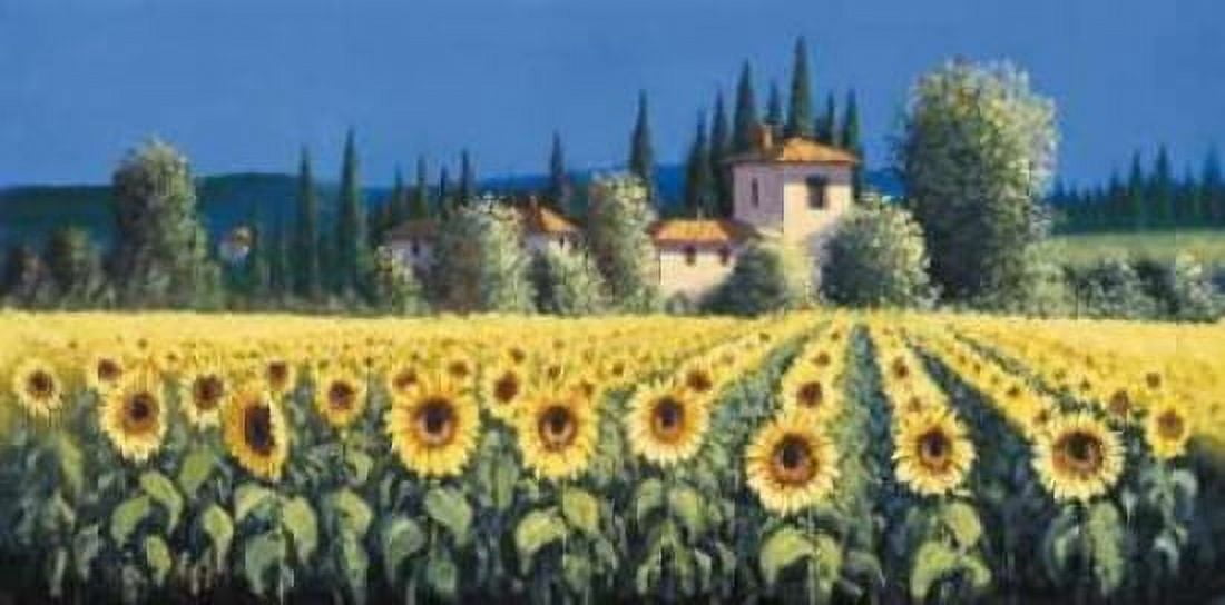 Summer Blooms Canvas Art - David Short (24 x 48)