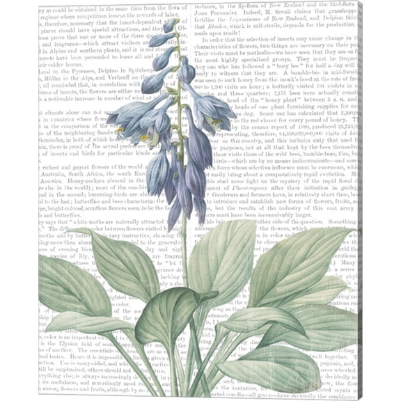 Summer Botanicals II by Wild Apple Portfolio, Canvas Wall Art, 16W x 20H