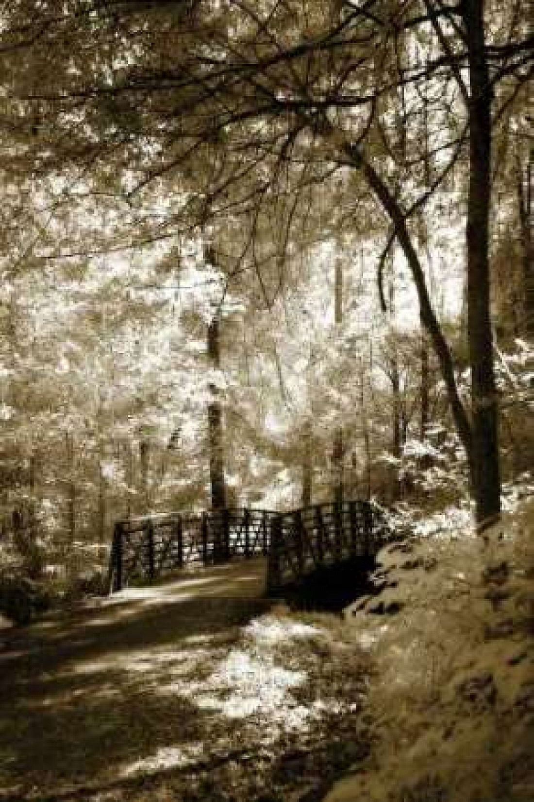 Summer Bridge Canvas Art - Alan Hausenflock (24 x 36)