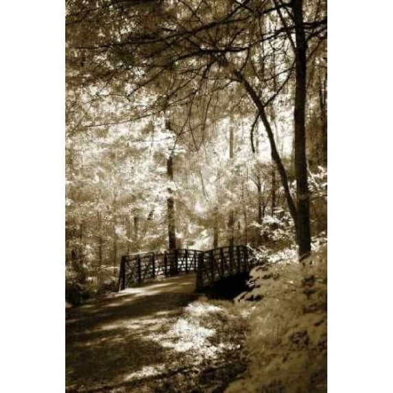 Summer Bridge Poster Print by Alan Hausenflock (24 x 36)