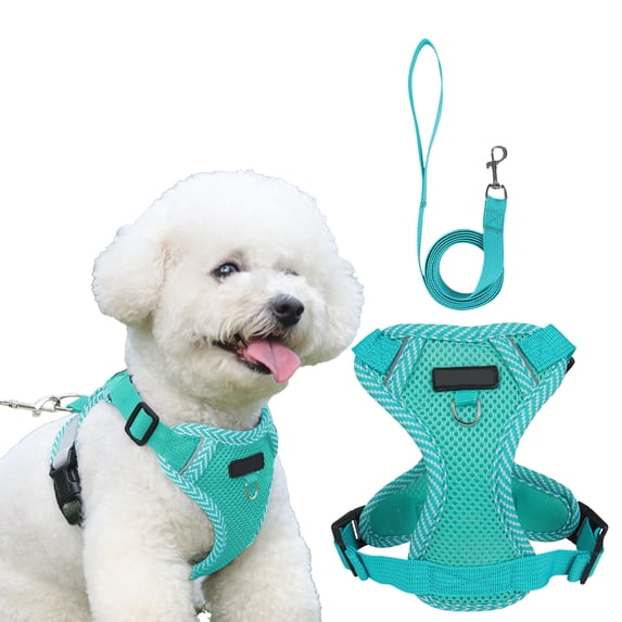 Summer Cat & Dog Chest Harness and Leash Set, Anti-Escape Adjustable Soft Mesh Pet Harness Vest for All Types of Cats & Dogs, Breathable Walking Harness,Blue