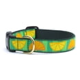 thumbnail image 1 of Summer Citrus Dog Collar - Medium, 1 of 1