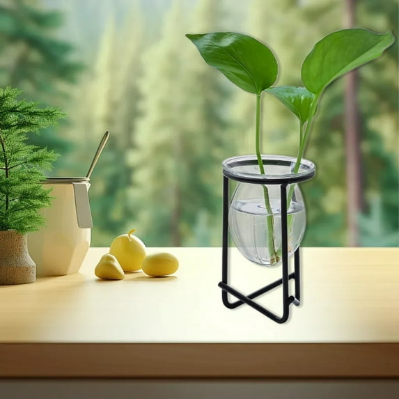 Home Decor QTOCIO Glass Hydroponic Vase Decoration Home Living Room Decoration Green Ivy Flower Arrangement Decoration