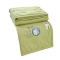 thumbnail image 1 of Summer Cooler Quilt,Hwkond Cool Feeling Ice Bear Water Washed Cotton Summer Quilt Summer Cool Quilt Conditioning Quilt Children's Quilt Summer Thin Quilt,green,110x150cm, 1 of 1